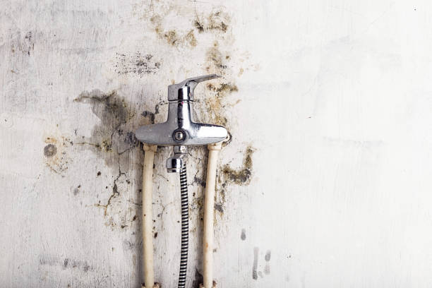 Best Mold Remediation for Specific Building Types in Seaside, CA