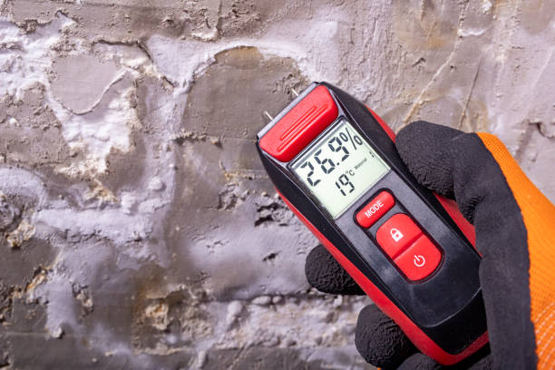 Best HVAC Mold Remediation in Seaside, CA