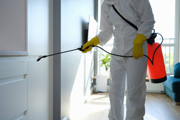 Professional Mold Remediation in Seaside, CA
