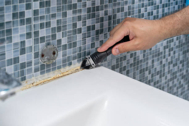 Best Basement Mold Remediation in Seaside, CA