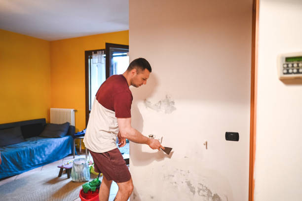 Best Residential Mold Remediation in Seaside, CA